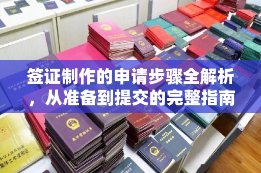 佳县签证制作的申请步骤全解析，从准备到提交的完整指南