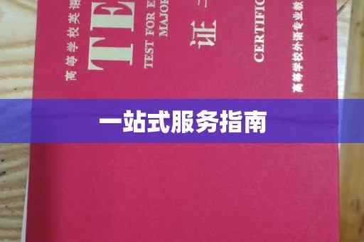 佳县一站式服务指南