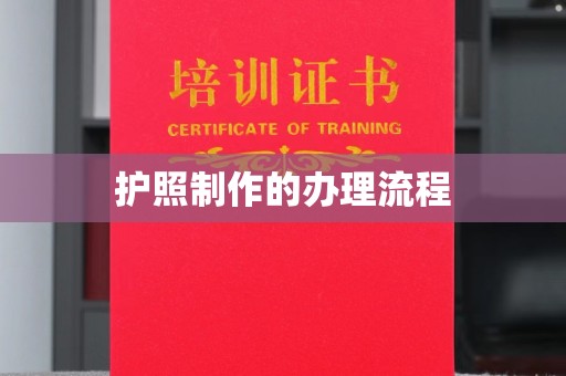 佳县护照制作的办理流程