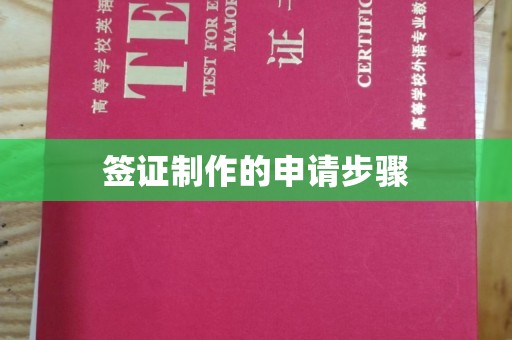 佳县签证制作的申请步骤
