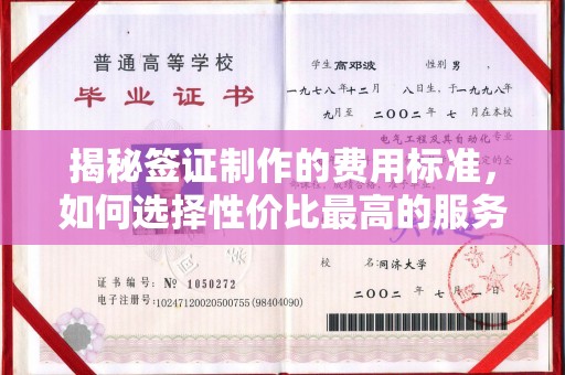 佳县揭秘签证制作的费用标准，如何选择性价比最高的服务？